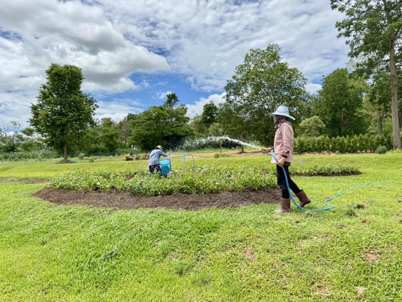 ภาพประกอบที่ 5