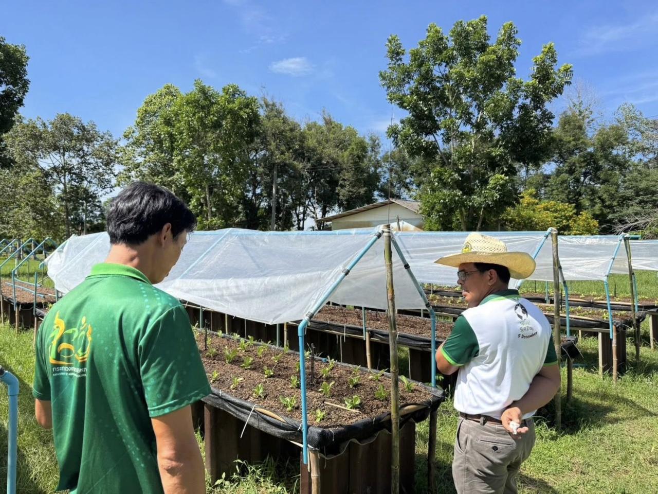 ภาพประกอบที่ 1