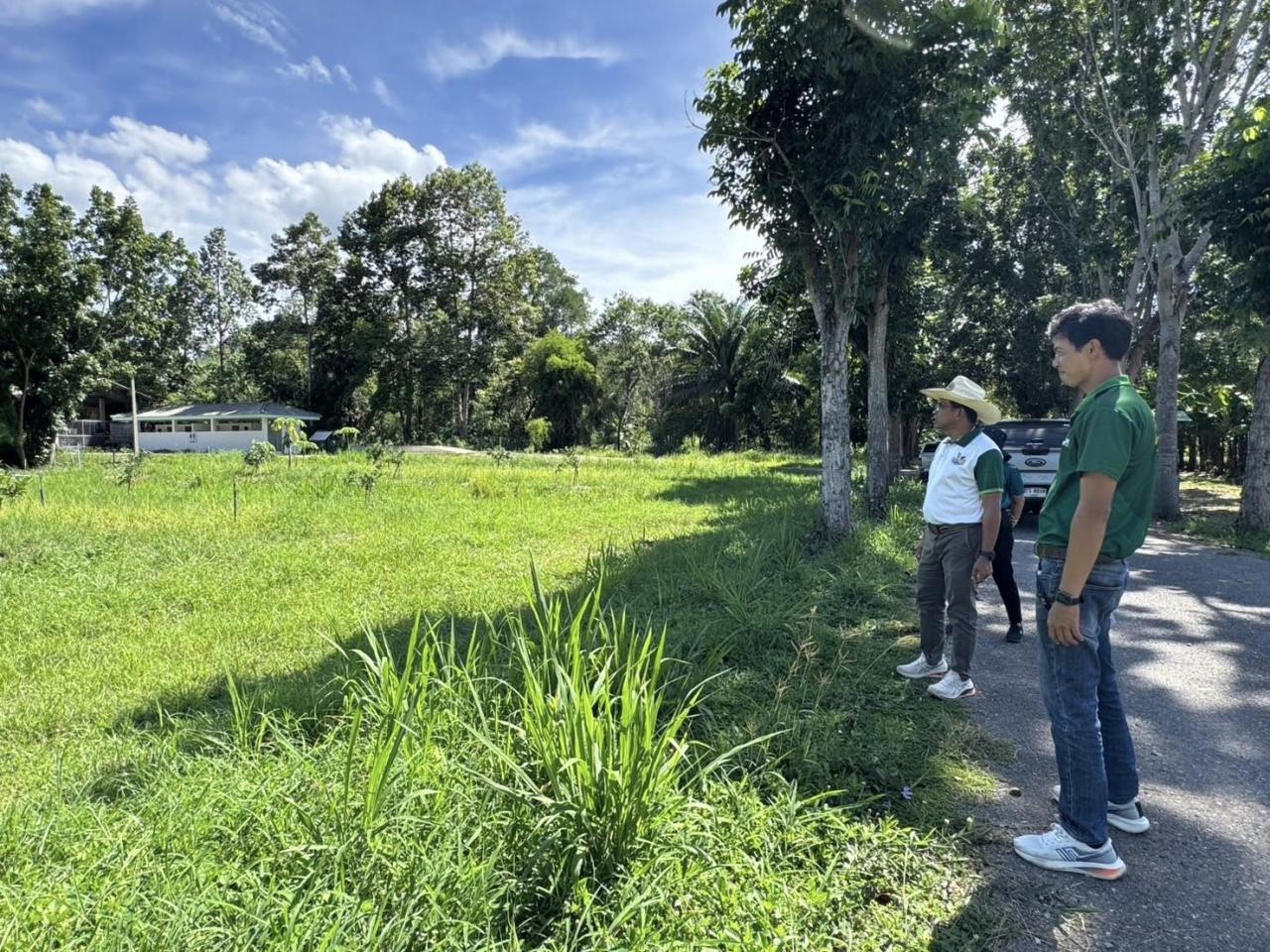 ภาพประกอบที่ 6