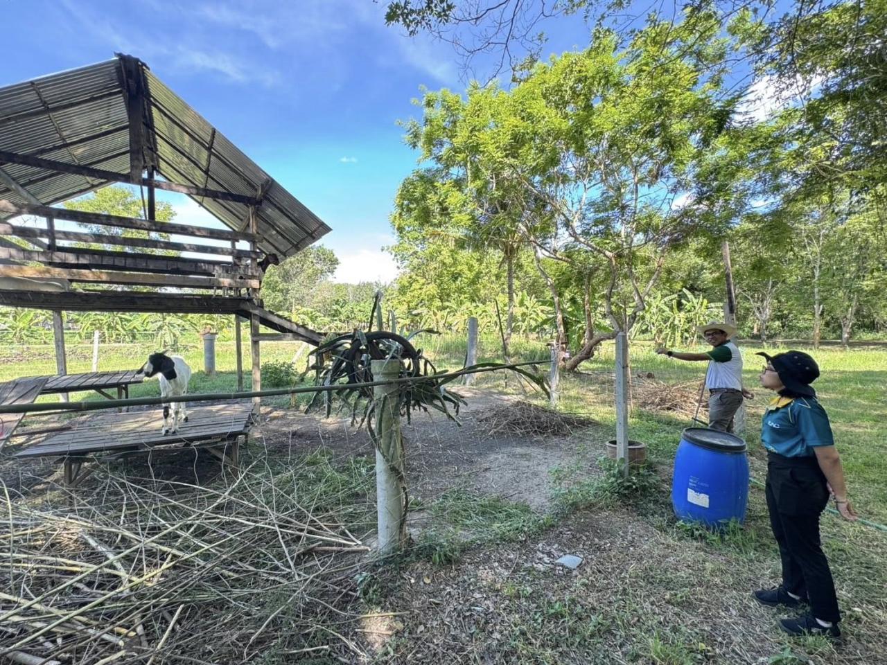 ภาพประกอบที่ 9