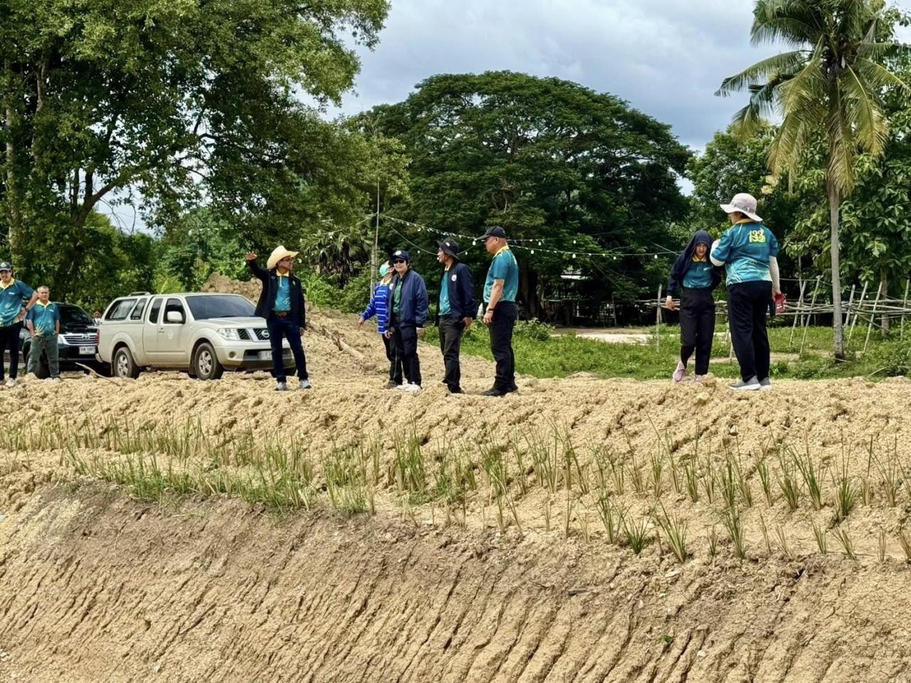 ภาพประกอบที่ 3