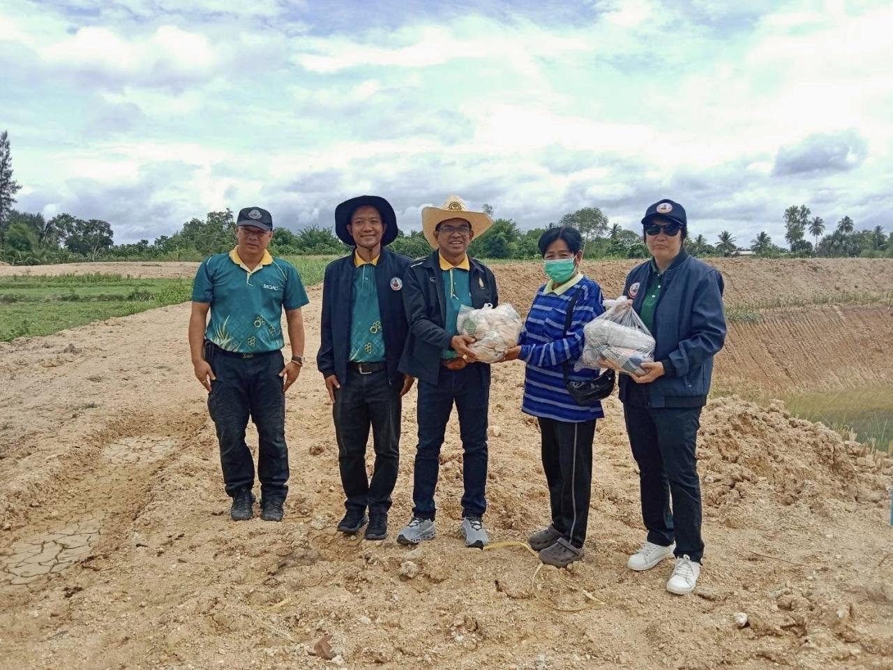 ภาพประกอบที่ 5