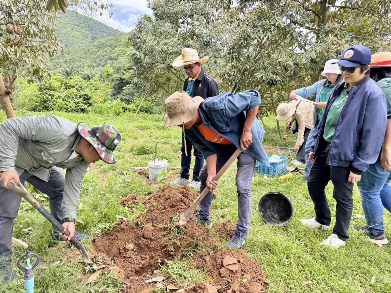 ภาพประกอบที่ 1