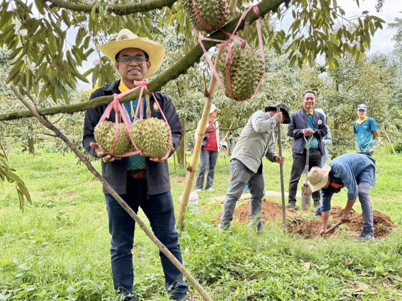 ภาพประกอบที่ 4