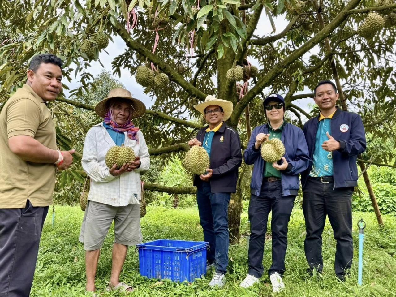 ภาพประกอบที่ 5