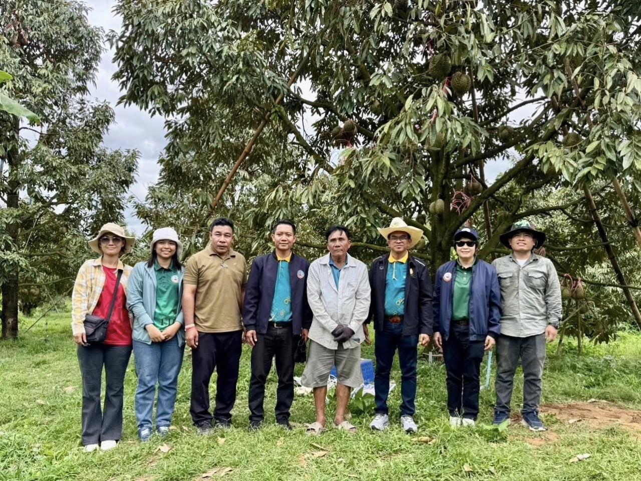 ภาพประกอบที่ 7