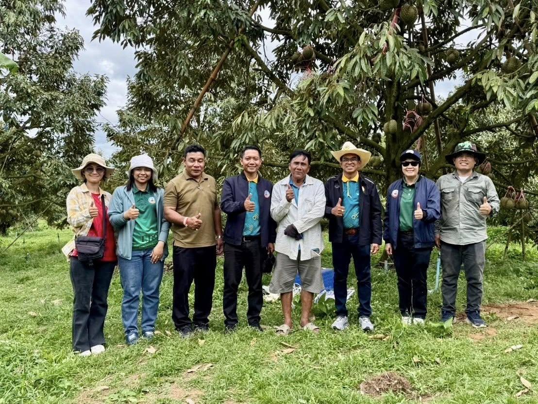 ภาพประกอบที่ 8