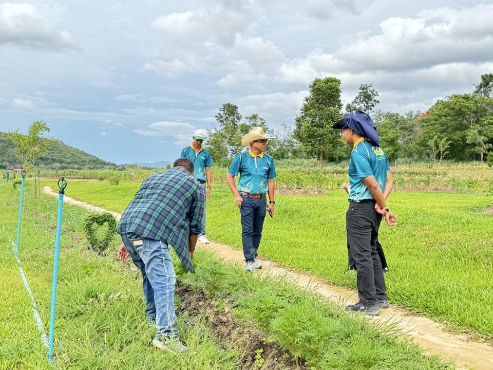 ภาพประกอบที่ 0