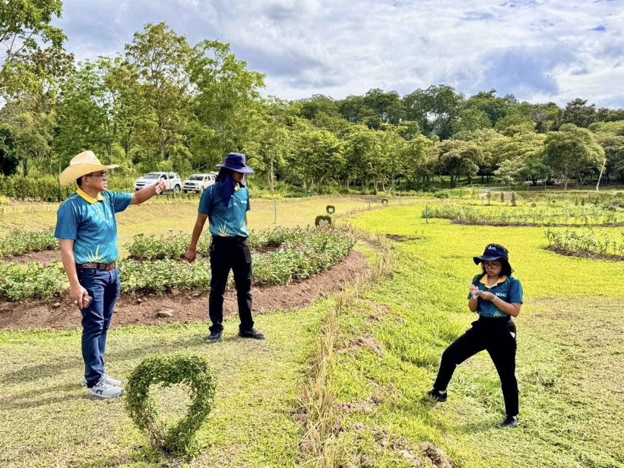 ภาพประกอบที่ 2
