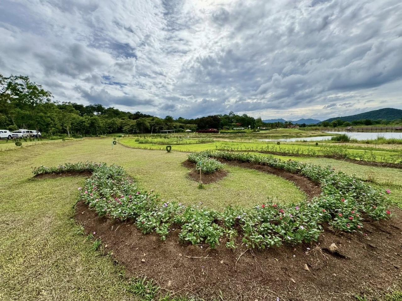 ภาพประกอบที่ 3