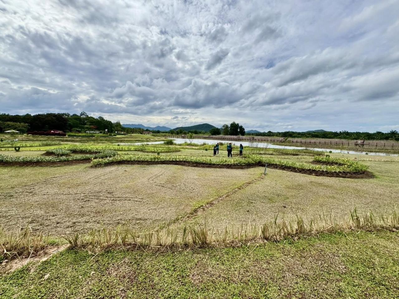 ภาพประกอบที่ 5