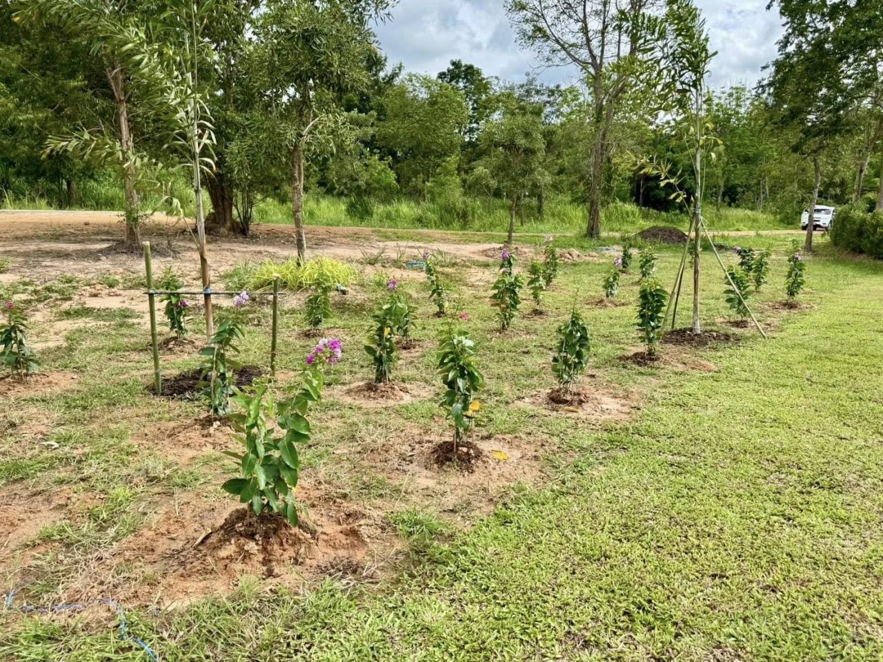 ภาพประกอบที่ 6