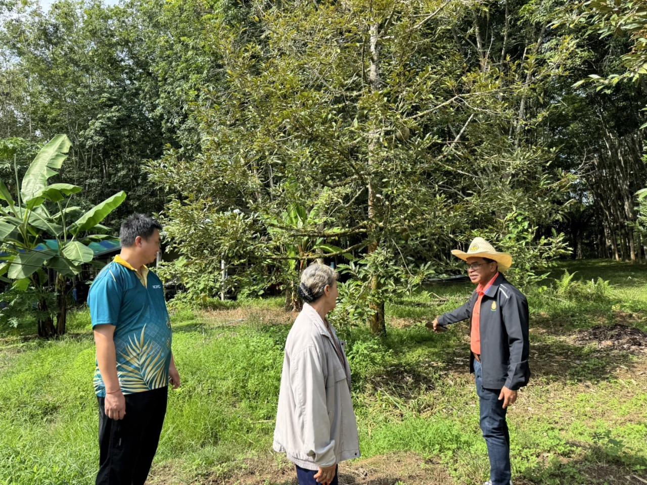 ภาพประกอบที่ 1