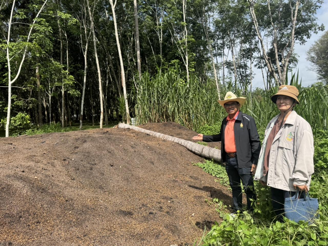 ภาพประกอบที่ 4