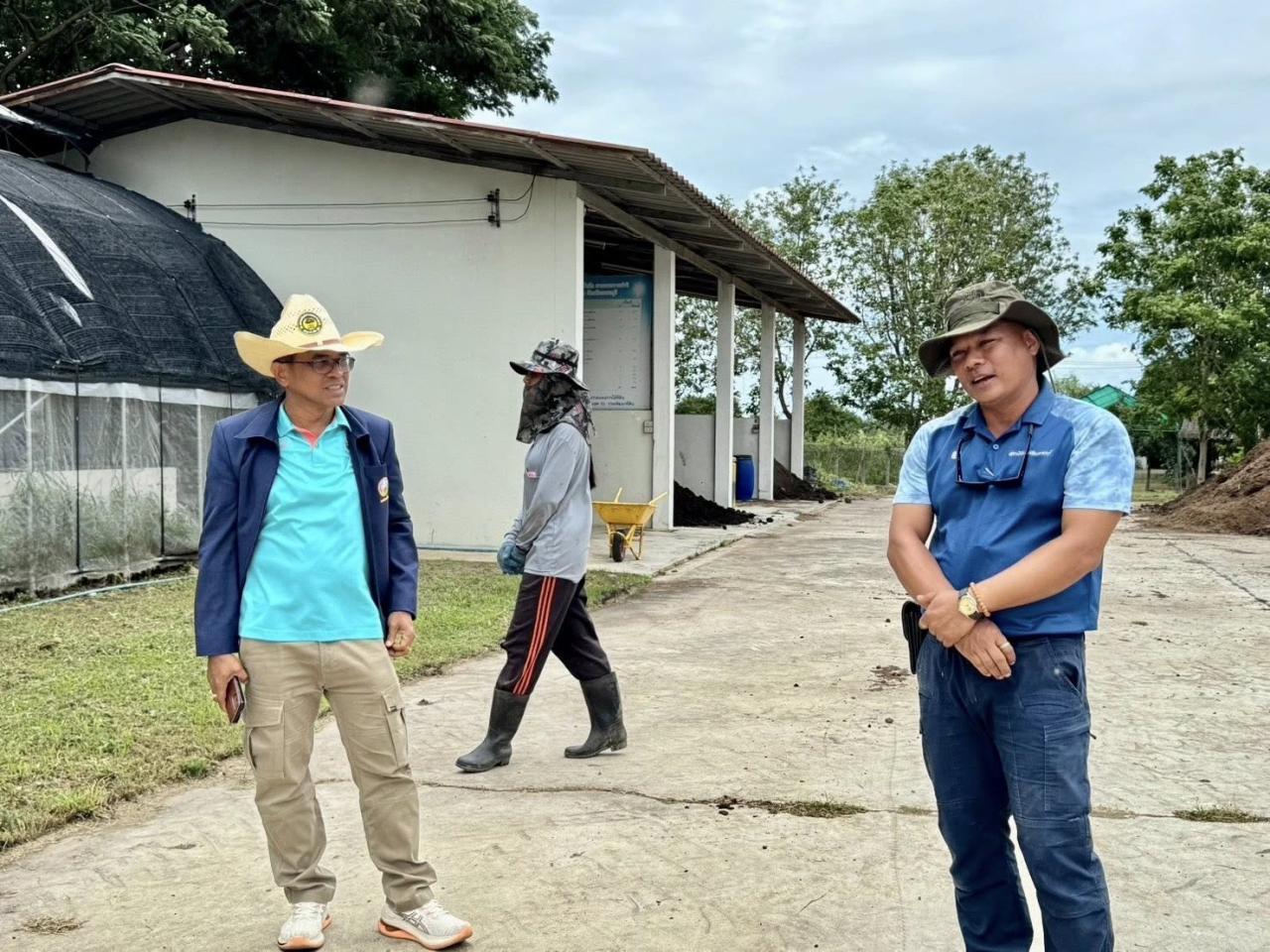 ภาพประกอบที่ 3