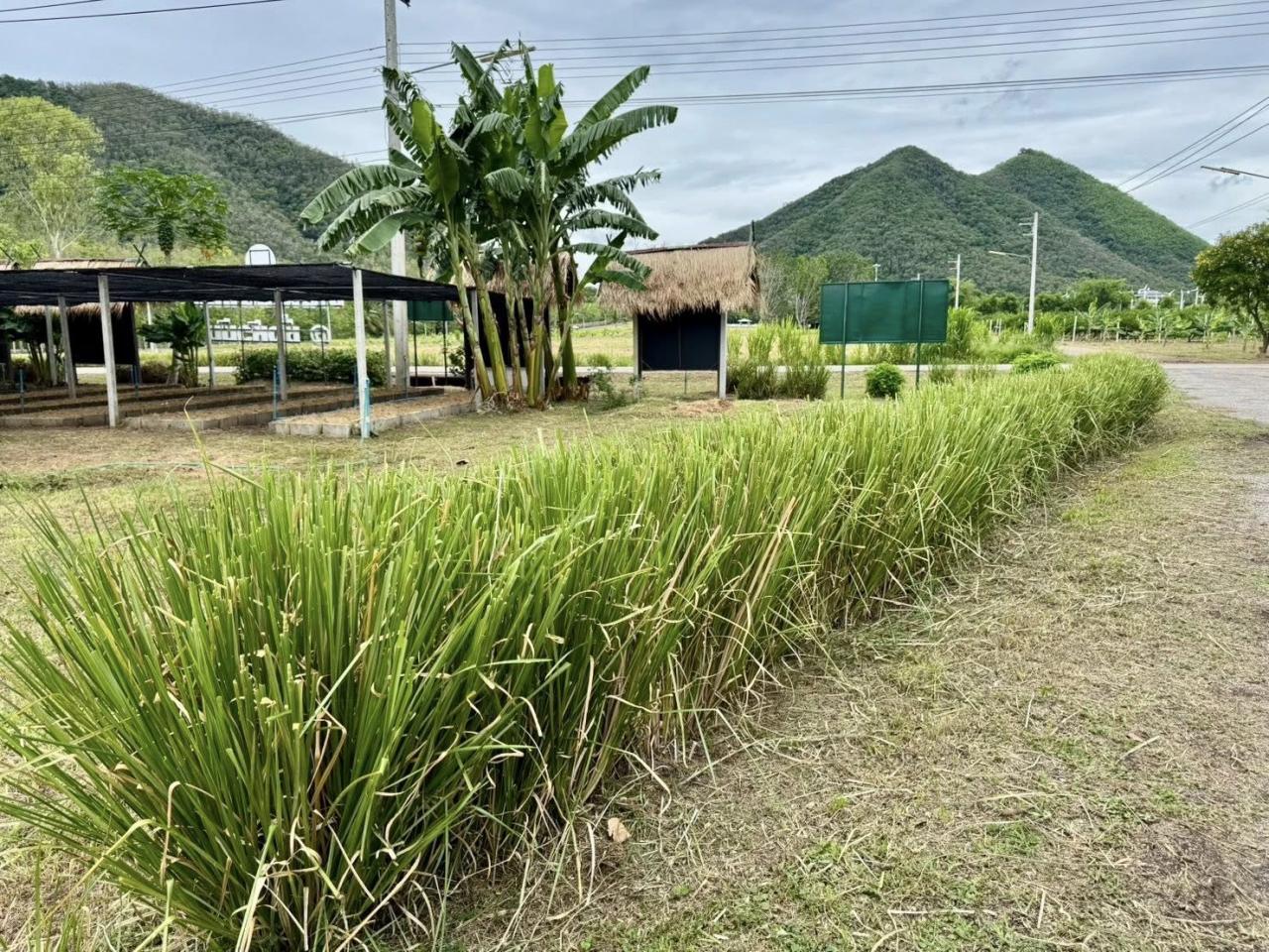 ภาพประกอบที่ 4