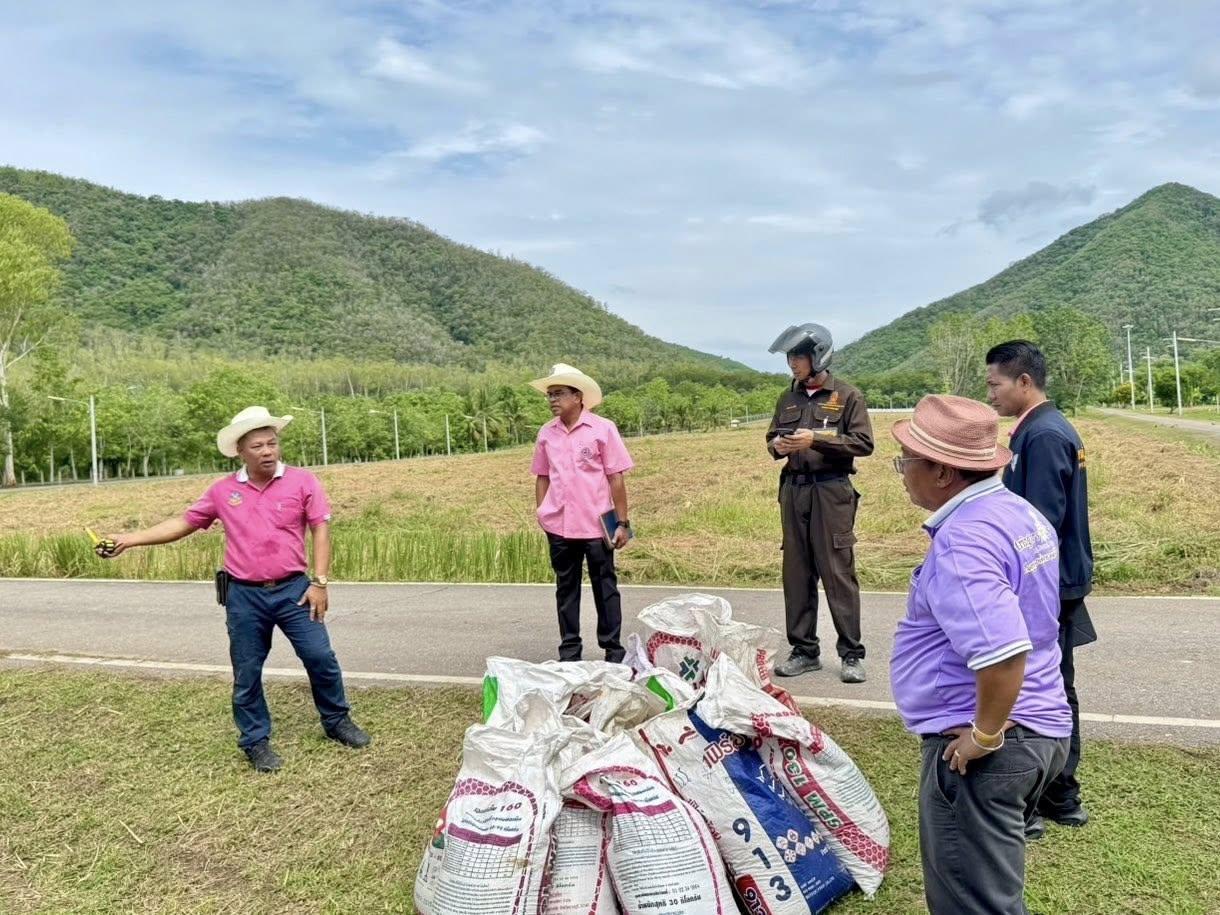 ภาพประกอบที่ 0