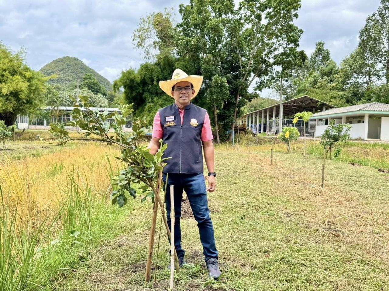 ภาพประกอบที่ 3