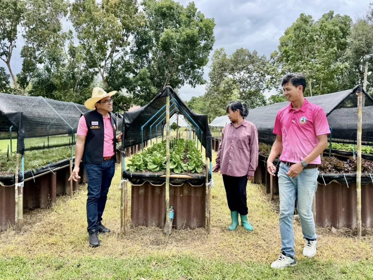 ภาพประกอบที่ 5