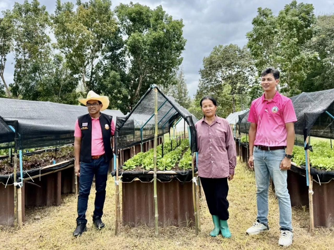 ภาพประกอบที่ 6