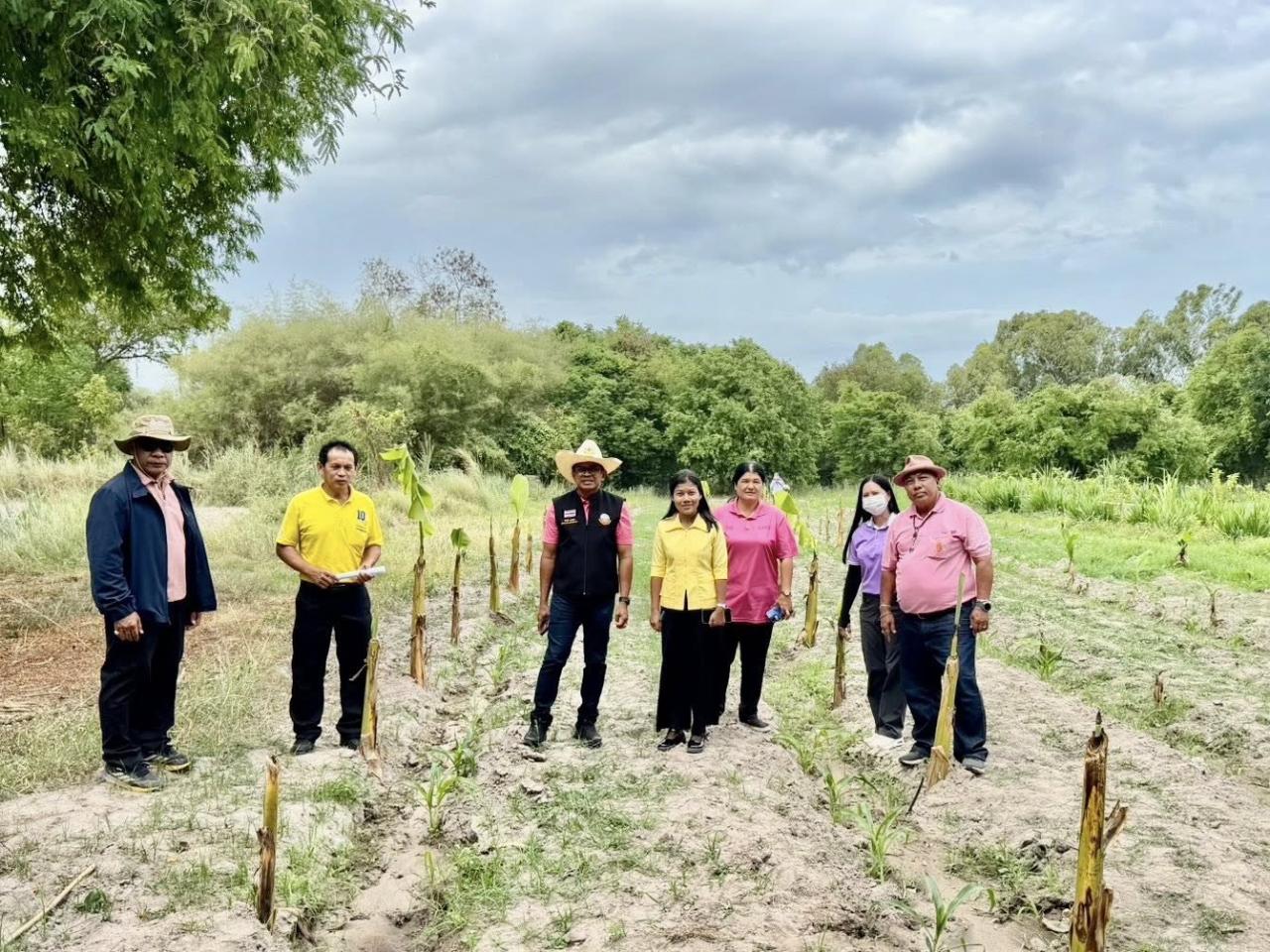 ภาพประกอบที่ 4