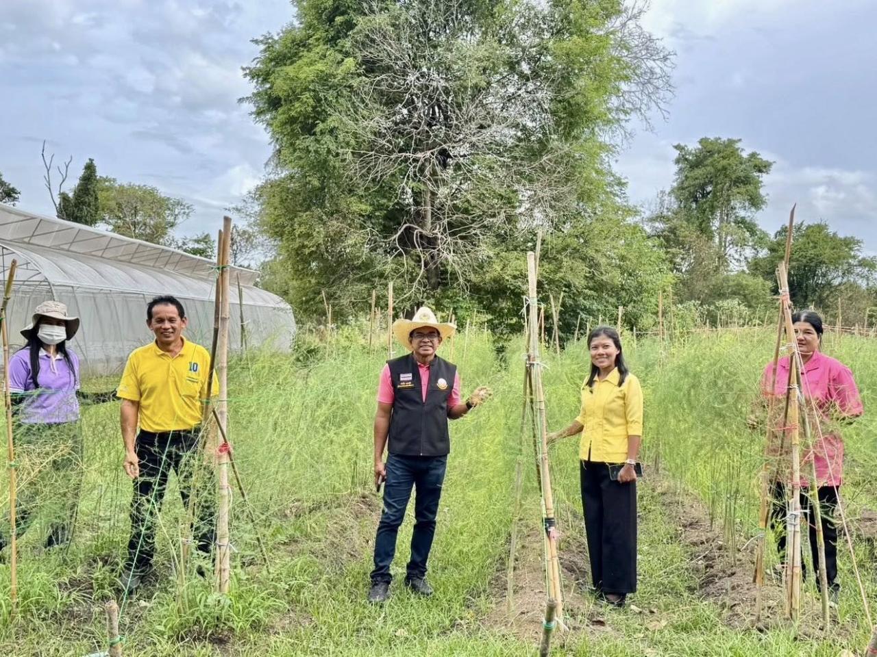 ภาพประกอบที่ 6