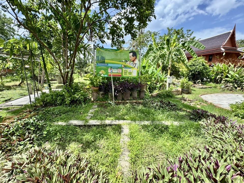 ภาพประกอบที่ 1