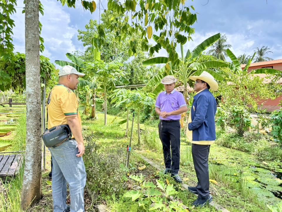 ภาพประกอบที่ 2