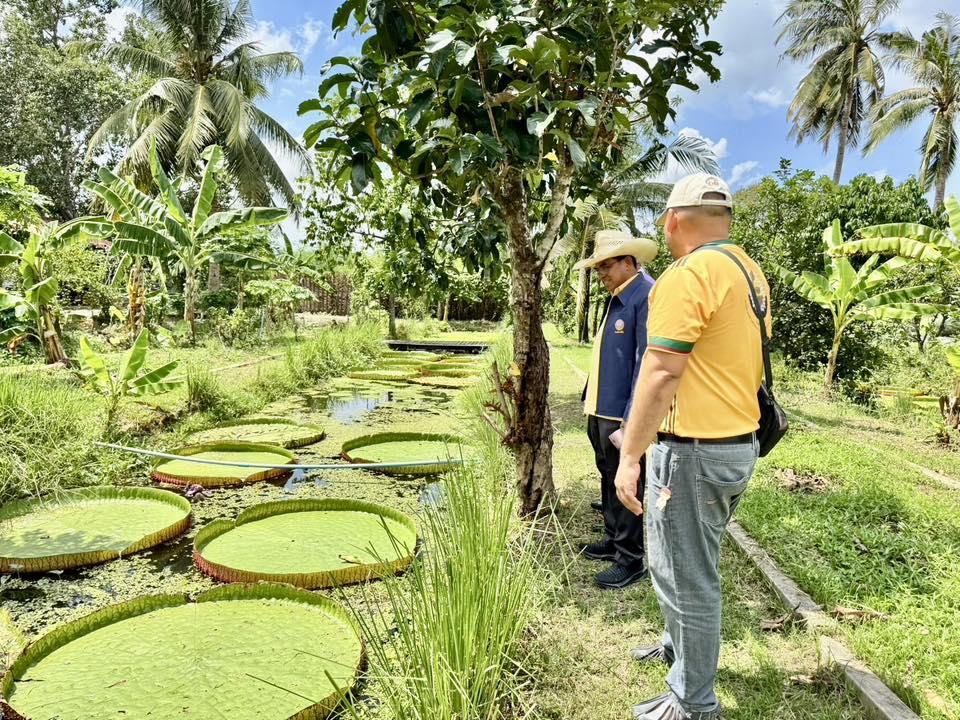 ภาพประกอบที่ 3