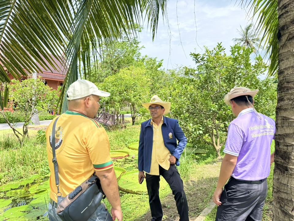 ภาพประกอบที่ 5