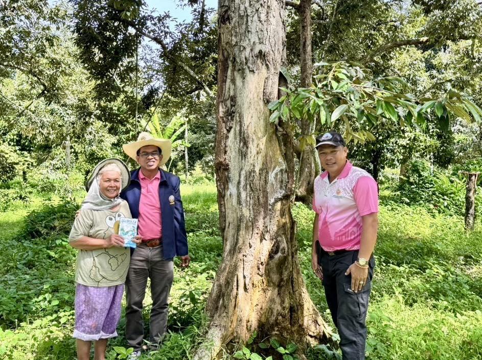 ภาพประกอบที่ 4