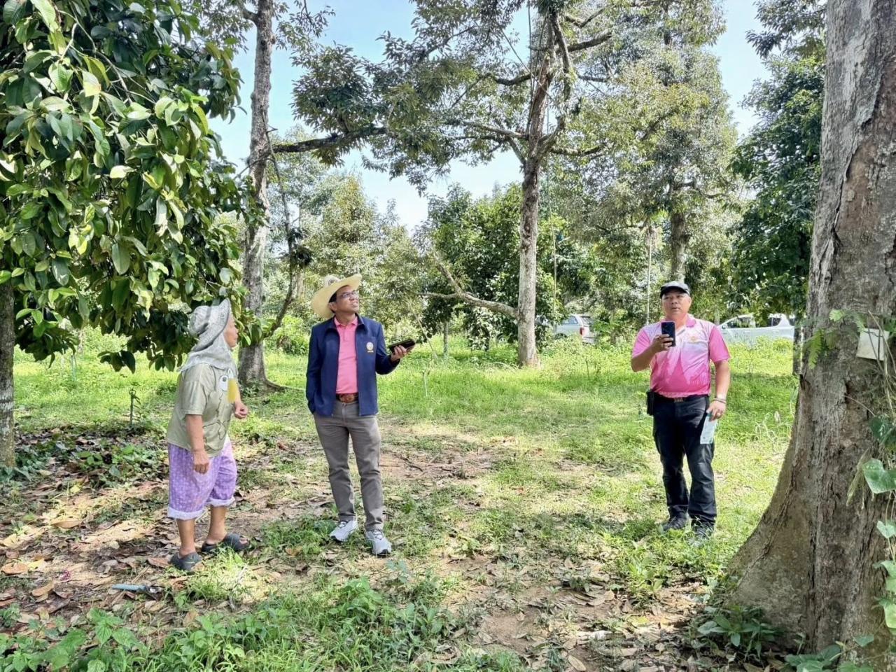 ภาพประกอบที่ 3