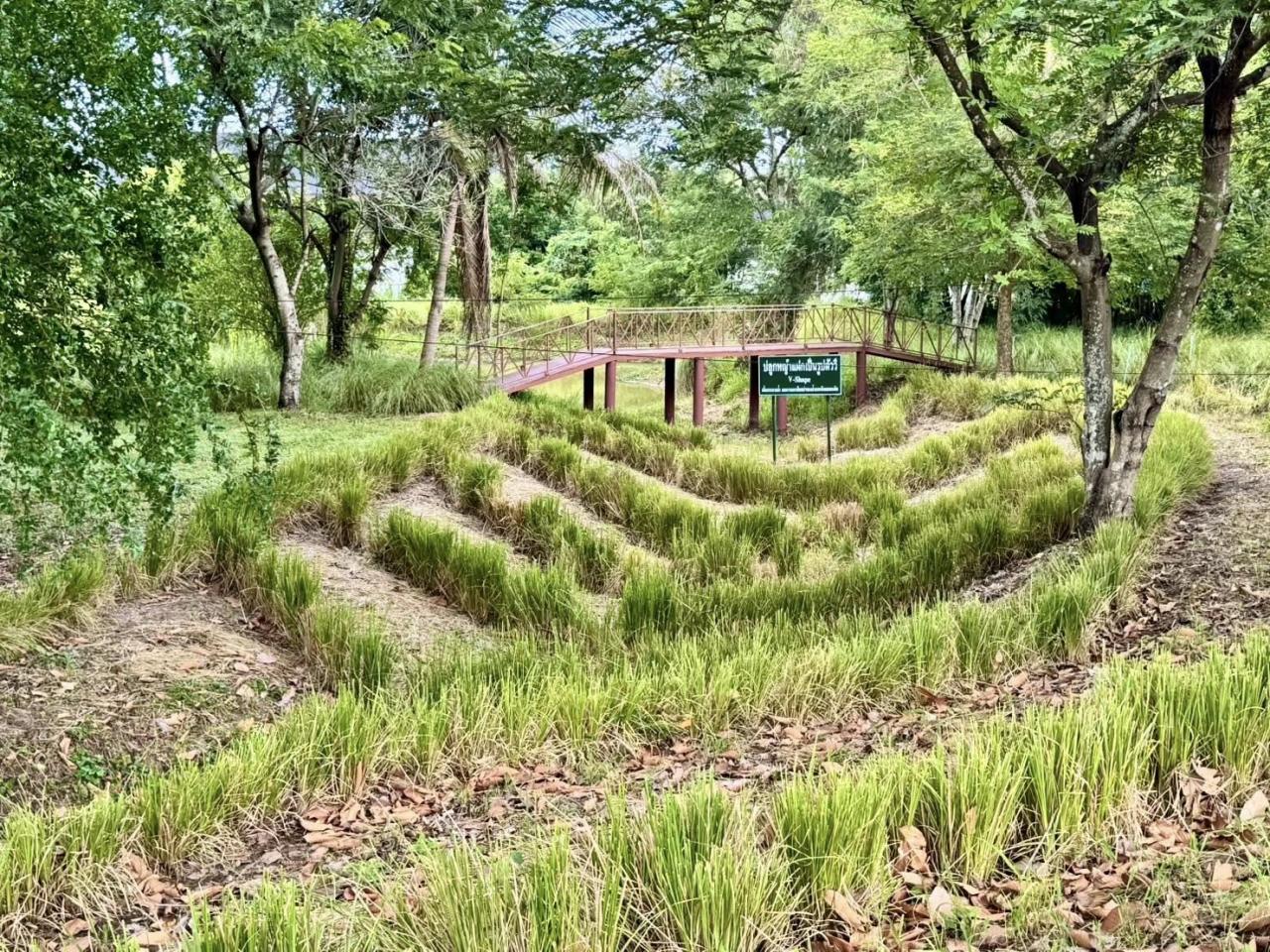 ภาพประกอบที่ 2