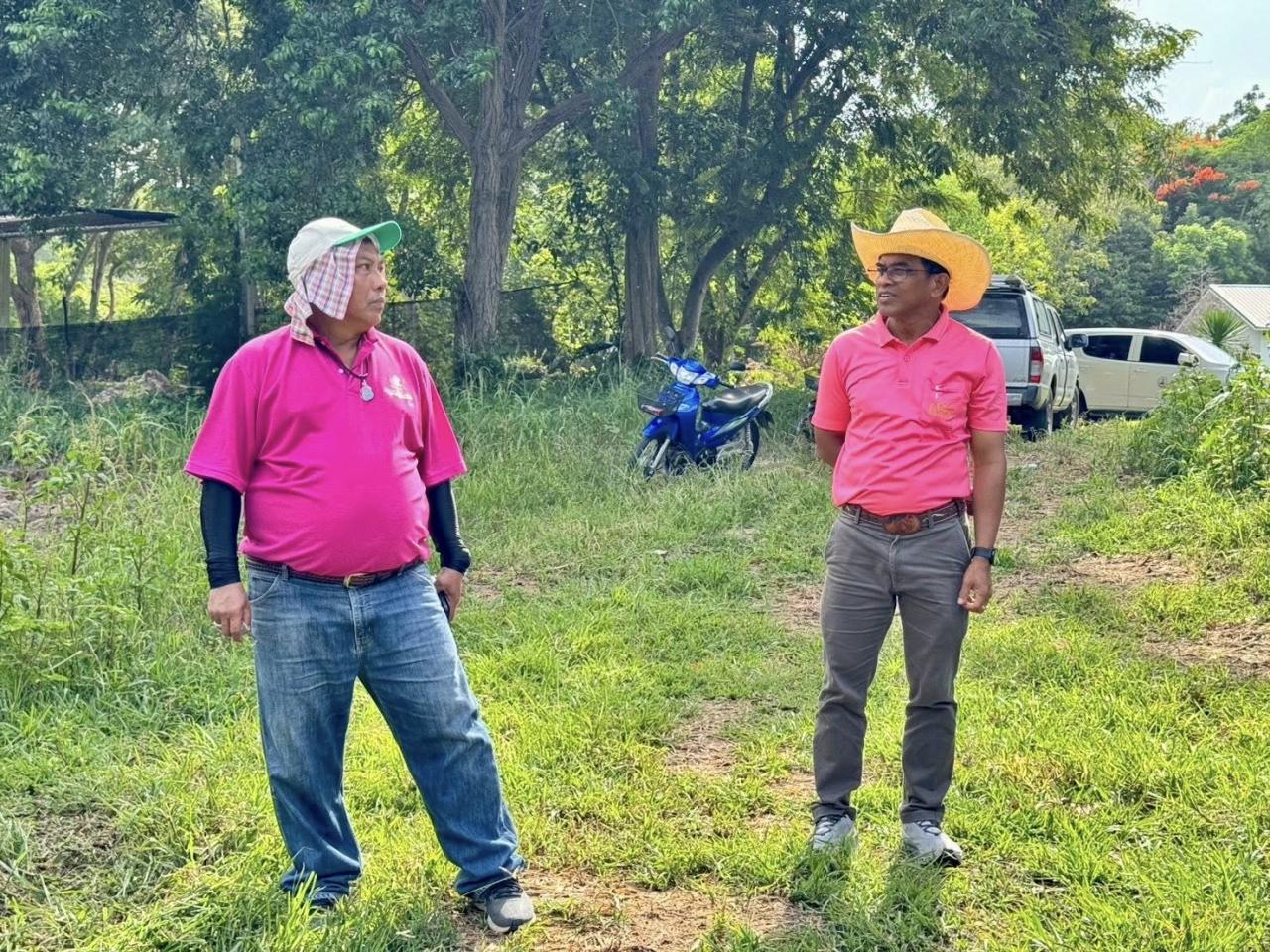 ภาพประกอบที่ 5