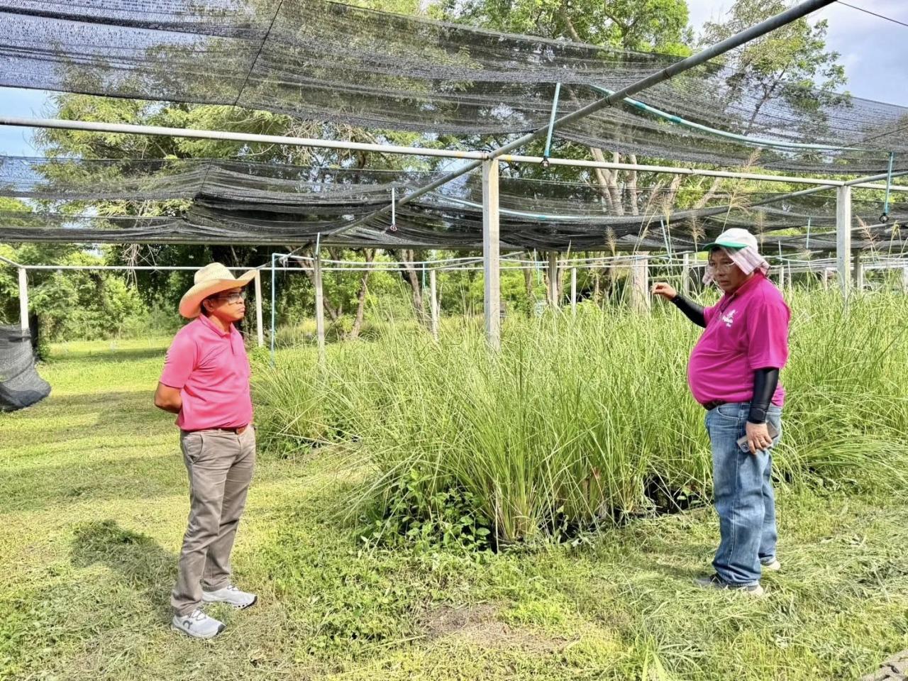 ภาพประกอบที่ 7