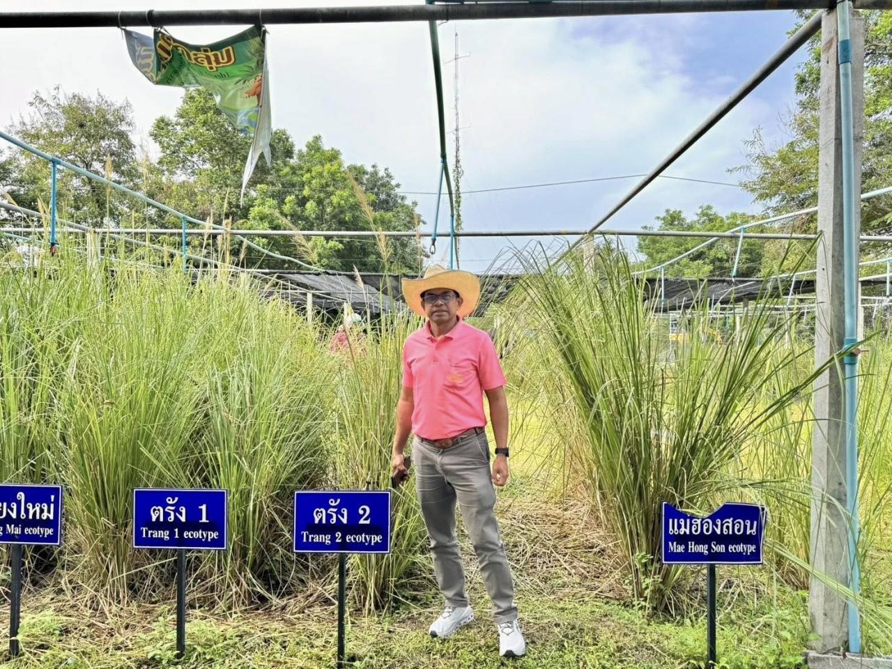 ภาพประกอบที่ 8