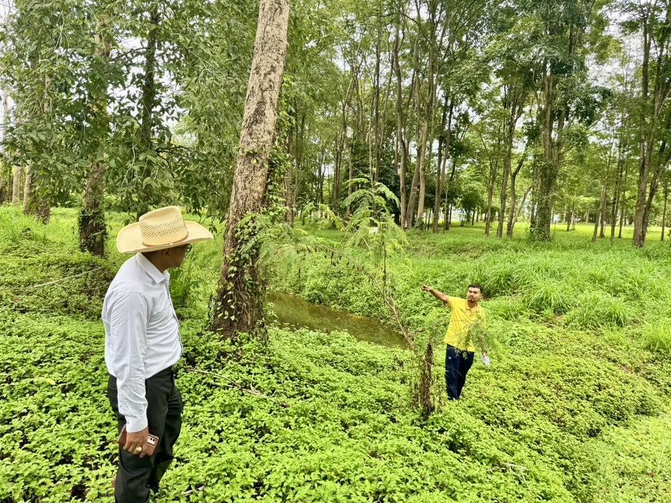 ภาพประกอบที่ 0