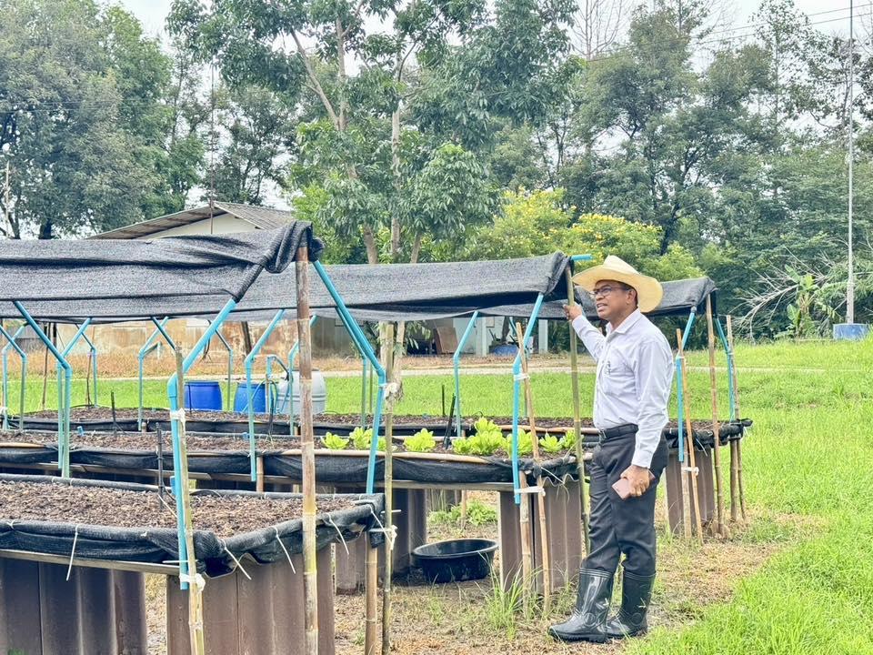 ภาพประกอบที่ 2