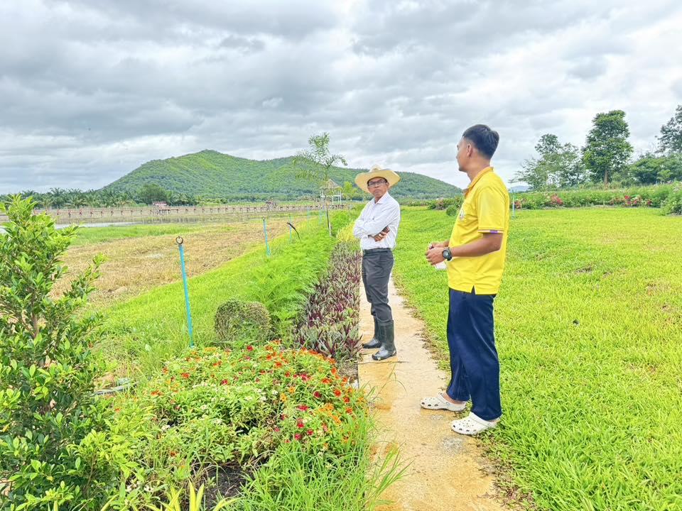 ภาพประกอบที่ 7