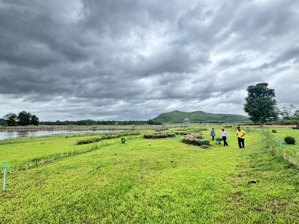 ภาพประกอบที่ 8