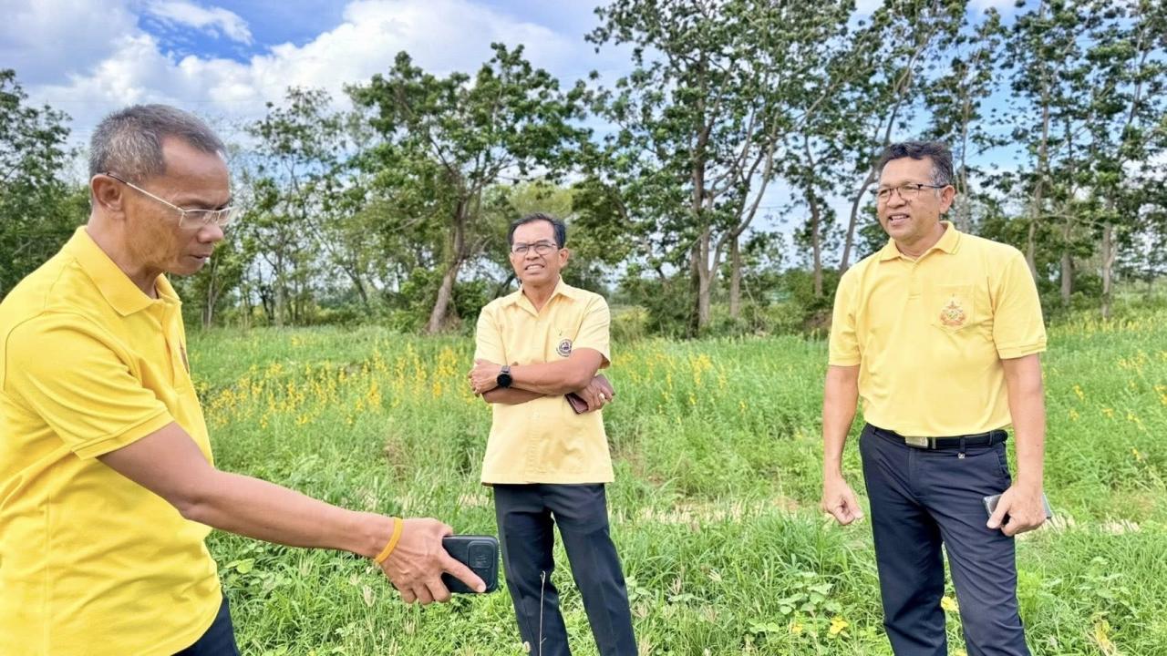 ภาพประกอบที่ 1