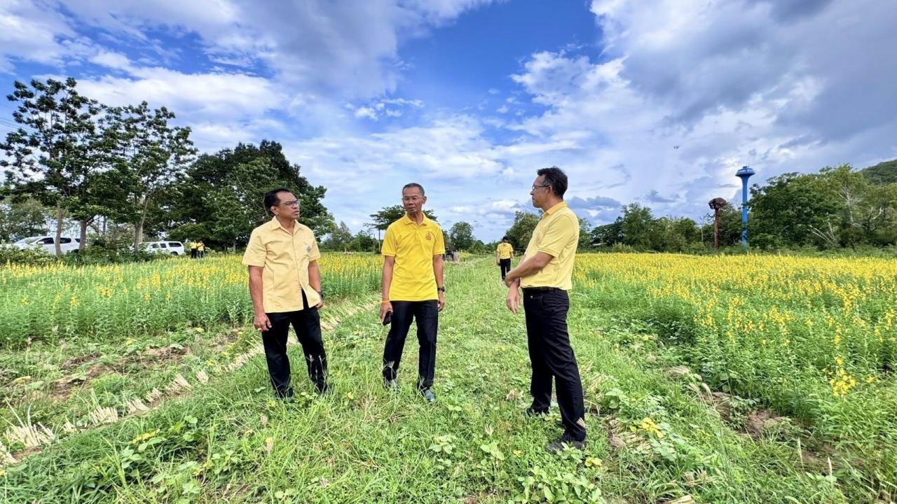 ภาพประกอบที่ 2