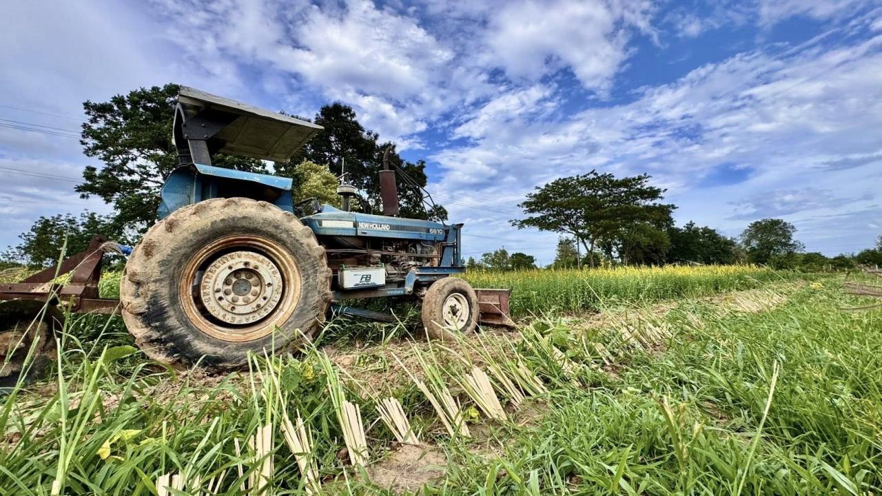 ภาพประกอบที่ 3