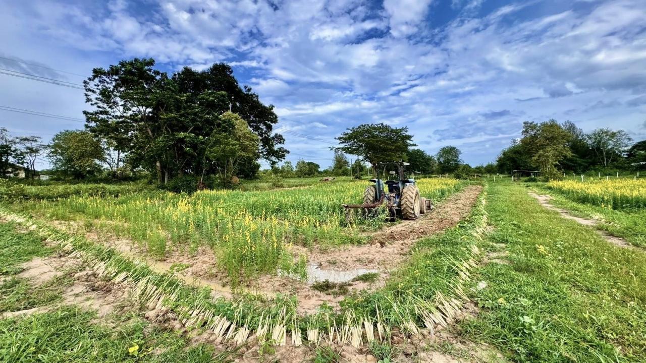 ภาพประกอบที่ 4