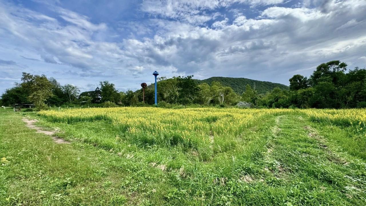 ภาพประกอบที่ 5