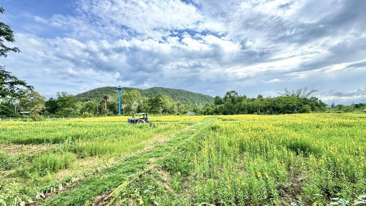 ภาพประกอบที่ 6