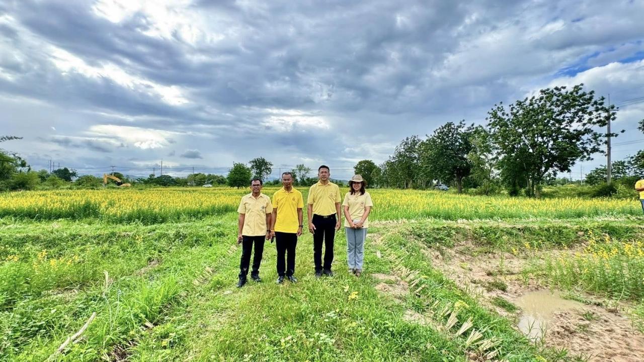 ภาพประกอบที่ 7