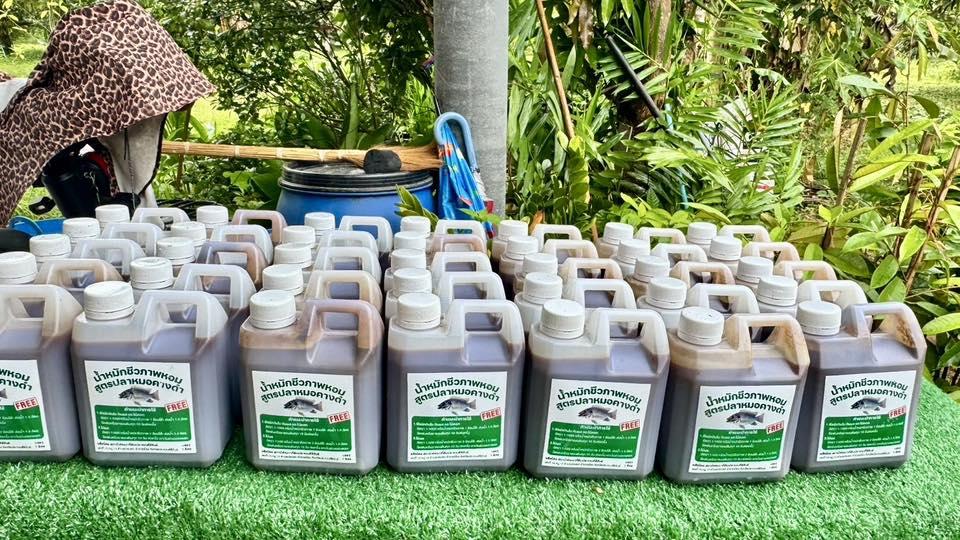 ภาพประกอบที่ 11