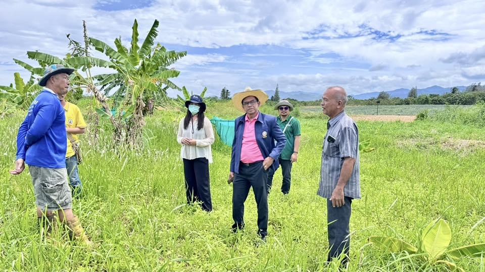 ภาพประกอบที่ 7