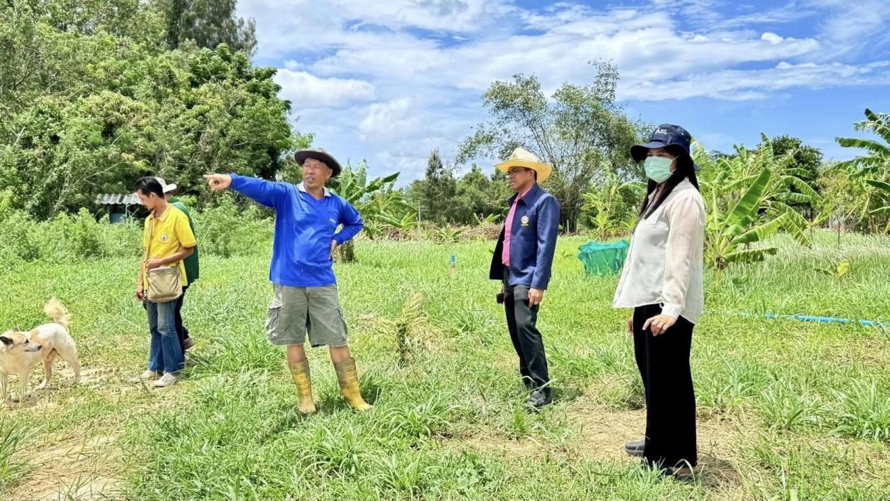 ภาพประกอบที่ 11